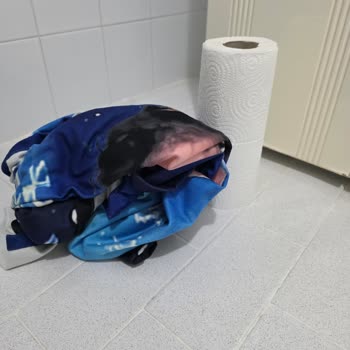 Yanıltıcı Ürün Ve İlgisiz Müşteri Hizmeti Nedeniyle İade Talebi