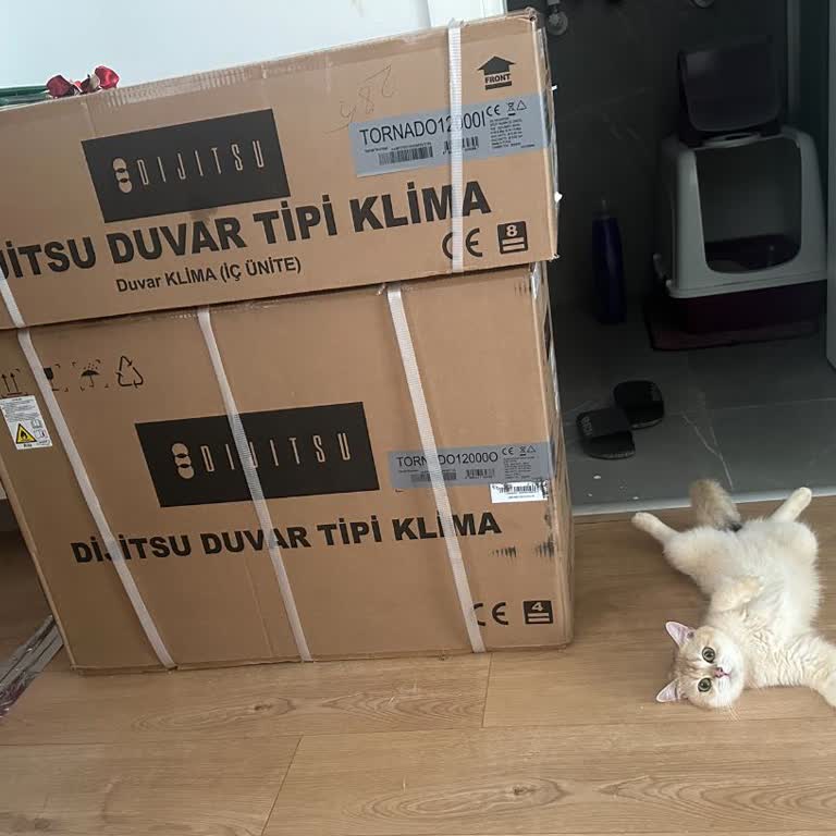 Montaj Sorunu, Ekstra Ücret Ve İlgisizlik Nedeniyle Büyük Mağduriyet