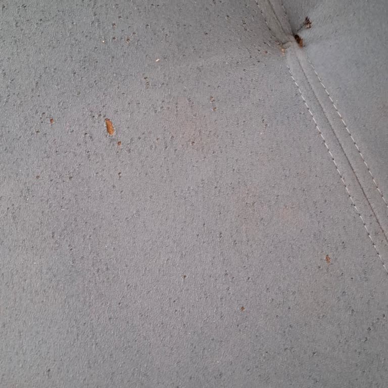 Relief Mobilya | İnegöl Ürünler Kısa Sürede Kullanılamaz Hale Geldi!