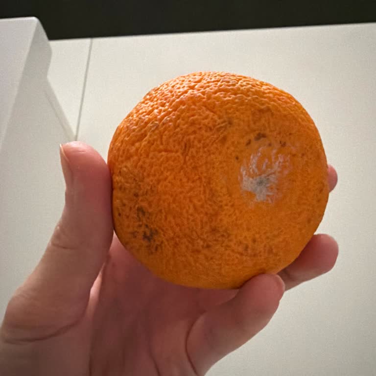 Çürük Mandalina Teslimatı Ve İlgisiz Müşteri Hizmetleri