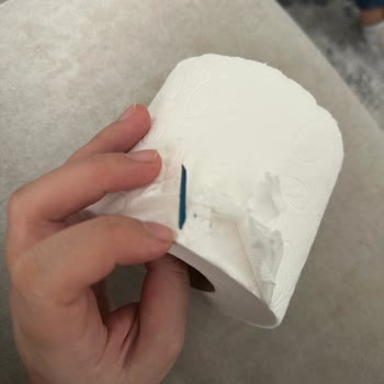 Tuvalet Kağıdından Çıkan Tahta Parçası Hayal Kırıklığı Yarattı