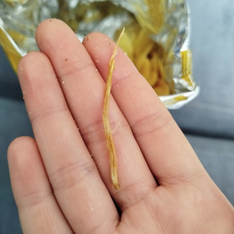 Çocuğumun Yediği Cipsten Odun Parçası Çıktı: Güvenlik İhmali Ve Yetersiz Geri Dönüş