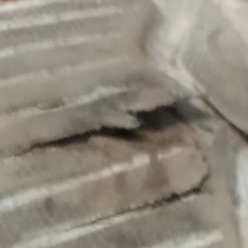 Skechers Ayakkabıda Kısa Sürede Yırtılma Ve Olumsuz İnceleme Sonucu