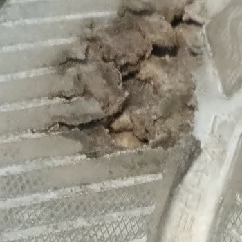 Skechers Ayakkabıda Kısa Sürede Yırtılma Ve Olumsuz İnceleme Sonucu