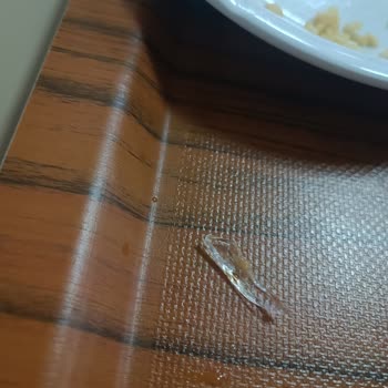 Yemekte Cam Parçası Ve Hijyen Sorunları: Sağlığımız Tehlikede