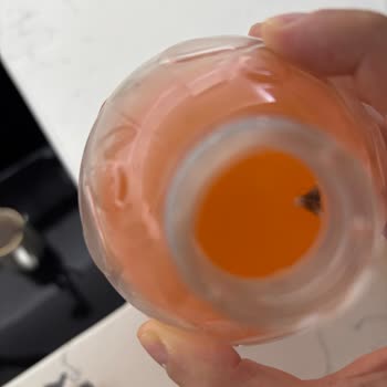 Doğanay Gıda Lita İçecekte Mantar Sorunu