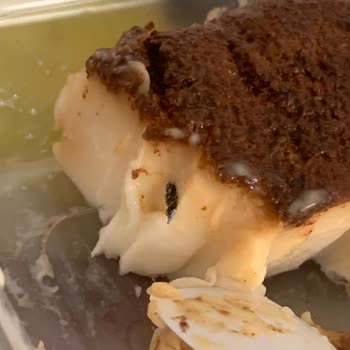 Kazandibi Tatlısında Yabancı Cisim Endişesi Hijyen Ve Güvenlik Sorunu