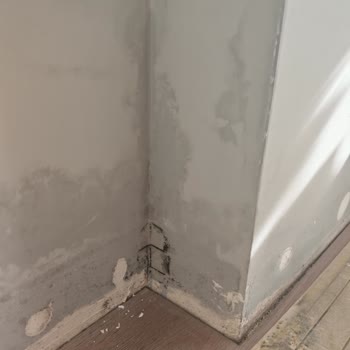 Smd İnşaat'tan Alınan Dairede Yaşanılan Sıkıntılar