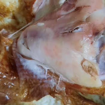 Pişmemiş Tavuk Ve İlgisiz Hizmet Nedeniyle Mağduriyet