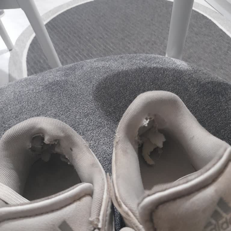 Kısa Sürede Yırtılan Ayakkabı Ve Yetersiz İnceleme Sonucu