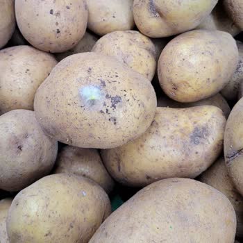 BİM Şubesinde Küflü Ve Çürük Ürünler Satışta, Çalışanlar İlgisiz!