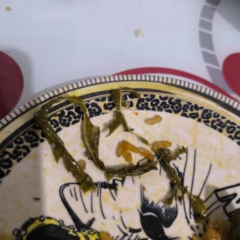 Fatma'nın Bahçesi Beklentileri Karşılamayan Yaprak Siparişi: Lezzet Ve Kalite Hayal Kırıklığı