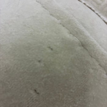 Normod'dan Alınan Pati Dostu Koltukların Kısa Sürede Deforme Olması Ve Gıcırtı Sorunu