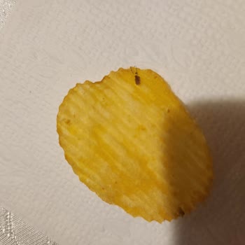 Cips Paketinde Şüpheli Cisim: Gıda Güvenliği Endişesi