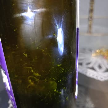 Zühre Ana Aldığım Enginar Suyunda Beklenmeyen Acılık Ve Kalite Sorunu