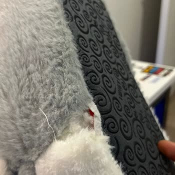 Kısa Sürede Yırtılan Panduf İçin Değişim Talebi