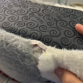 Kısa Sürede Yırtılan Panduf İçin Değişim Talebi