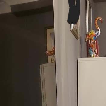 Grundig Yanlış Montaj Edilen TV İçin Haftalardır Çözüm Bekliyorum