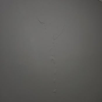 Konut Sigortası Su Hasarını Karşılamıyor Mağdur Ediliyorum