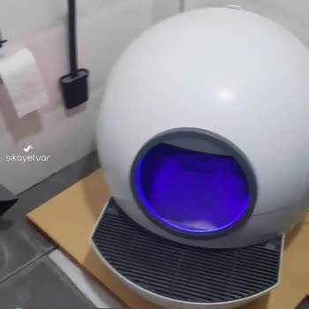 Neutronlife Neutron Kedi WC Sorunu!