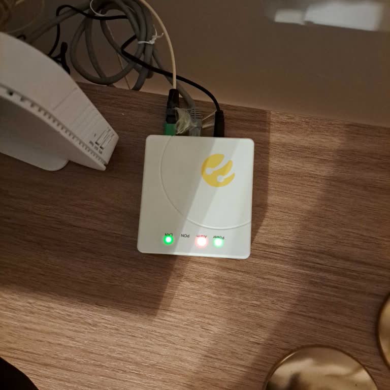 Kurulumdan Hemen Sonra Süregelen Fiber İnternet Sorunu Ve Yetersiz Destek