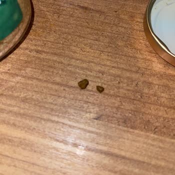 Fiskobirlik Fındık Ezmesinden Taş Çıkması Endişe Yarattı