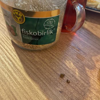 Fiskobirlik Fındık Ezmesinden Taş Çıkması Endişe Yarattı