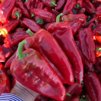 Eksik Gelen Ürünler Ve Müşteri Hizmetlerinden Dönüş Alamama Sorunu