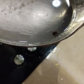 Aldığım Mantı Paketinden Böcek Çıktı, Hijyen Ve Güvenlik Endişesi Yaşadım