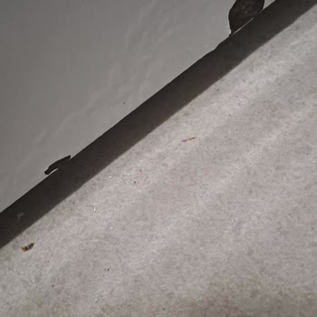 Siemens Çamaşır Makinesinde Erken Boya Kalkması Ve Paslanma Sorunu