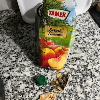 Taze Satın Alınan Meyve Suyunda Küf Ve Yabancı Madde Şoku