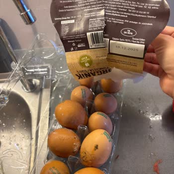 Aldığım Yumurtaların Kırık Ve Küflü Çıkması Gıda Güvenliğini Tehdit Ediyor