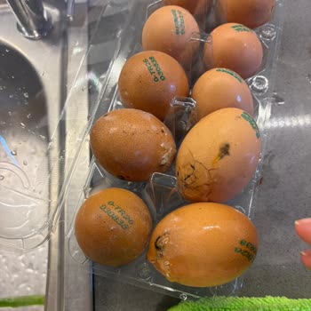 Aldığım Yumurtaların Kırık Ve Küflü Çıkması Gıda Güvenliğini Tehdit Ediyor