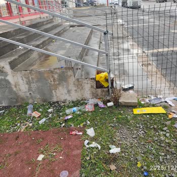 Şok Marketler Süregelen Çevre Kirliliği ve İlgisizliği