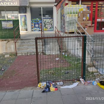 Şok Marketler Süregelen Çevre Kirliliği ve İlgisizliği