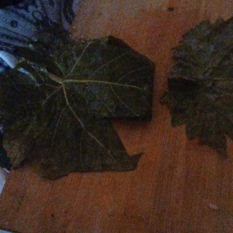 Handanın Bahçesi Ödediğim 950 TL Tutarın Tarafıma İade Edilmesini Talep Ediyorum