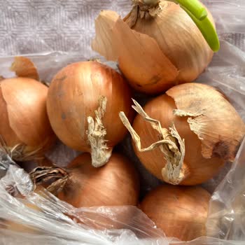 Migros Sanal Market'ten Çürük, Eksik Ve Yanlış Ürün Teslimatı Sonrası Çözüm Sunulmaması