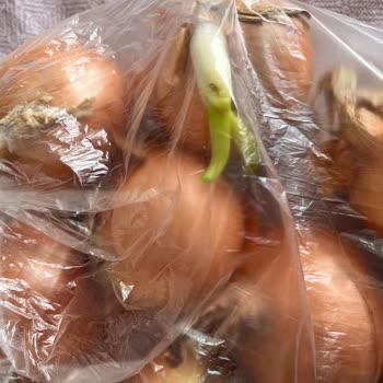 Migros Sanal Market'ten Çürük, Eksik Ve Yanlış Ürün Teslimatı Sonrası Çözüm Sunulmaması