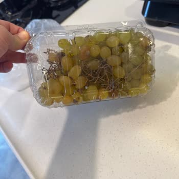 Migros Hemen'den Sürekli Çürük Ve Böcekli Meyve-Sebze Teslimatı