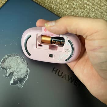 Bilgisayarım Ve Mouse Pil Akması Nedeniyle Zarar Gördü