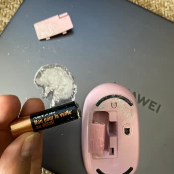 Bilgisayarım Ve Mouse Pil Akması Nedeniyle Zarar Gördü