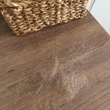 Tangle Teezer Tarak Saçlarımı Açmak Yerine Döküyor Ve Beklentimi Karşılamadı