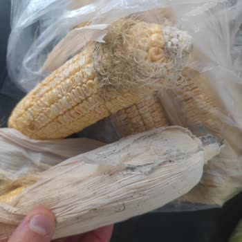 Bozuk Ürün Ve Yetersiz Çözüm Nedeniyle Migros Sanal Market’te Yaşanan Mağduriyet