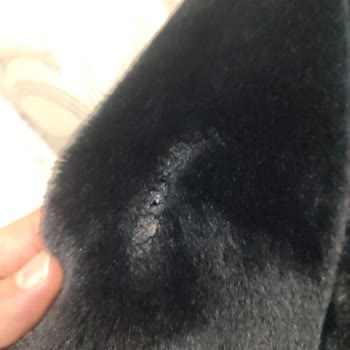 Koton Mağazasından Alınan Montta Yanık Çıktı Değişim Reddedildi