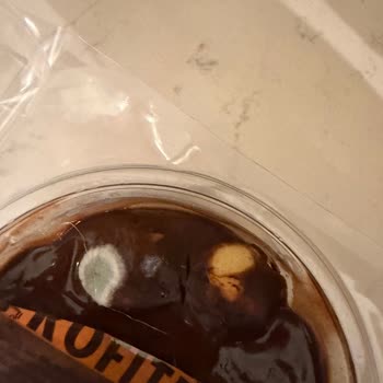 Son Kullanma Tarihi Geçmemiş Tatlıda Küf: Gıda Güvenliğinde Büyük İhmal