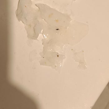 İsonem Şeffaf Yalıtım Ürünü Kısa Sürede Soyuldu, Mağduriyet Yaşadım