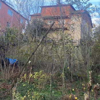 İnternetimde Sürekli Kopma Ve Yavaşlık Sorunu Çözülmüyor