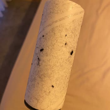 Bir Kez Giyilen Pijama Takımı Kullanılamaz Hale Geldi, Çözüm Bekliyorum