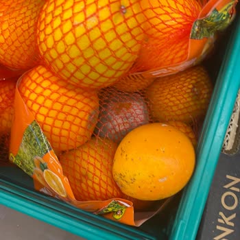 Şok Market Şubesinde İlgisiz Personel Ve Bozulmuş Ürünler Nedeniyle Memnuniyetsizlik