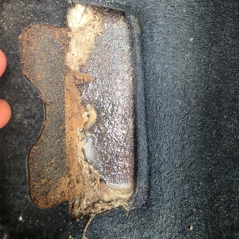 Ford C-Max Şasi Numarası Paslanması Nedeniyle Muayene Mağduriyeti